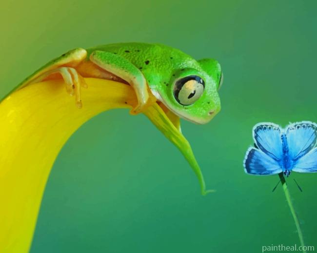 Green Frog Beside Common Blue Butterfly Painting By Numbers Kits