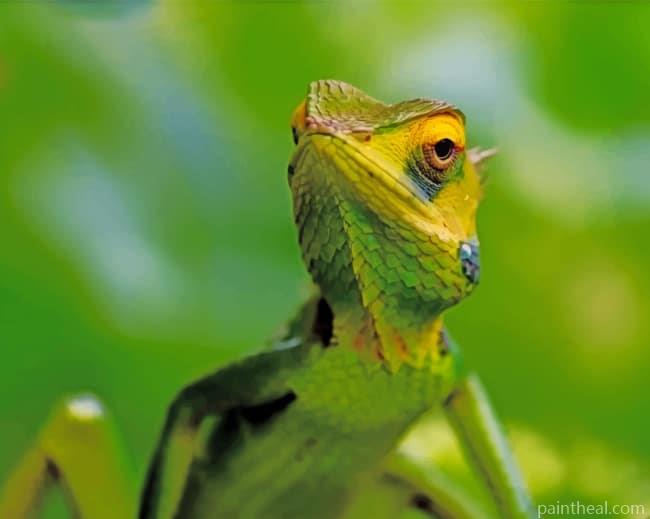 Lizard Painting By Numbers Kits