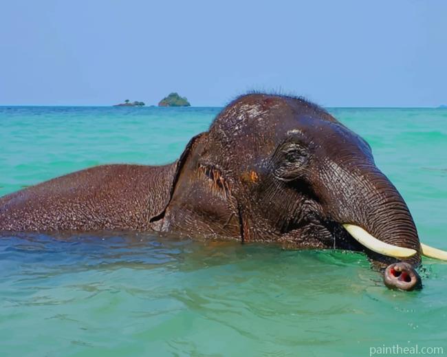 Elephant In Body Of Water Painting By Numbers Kits