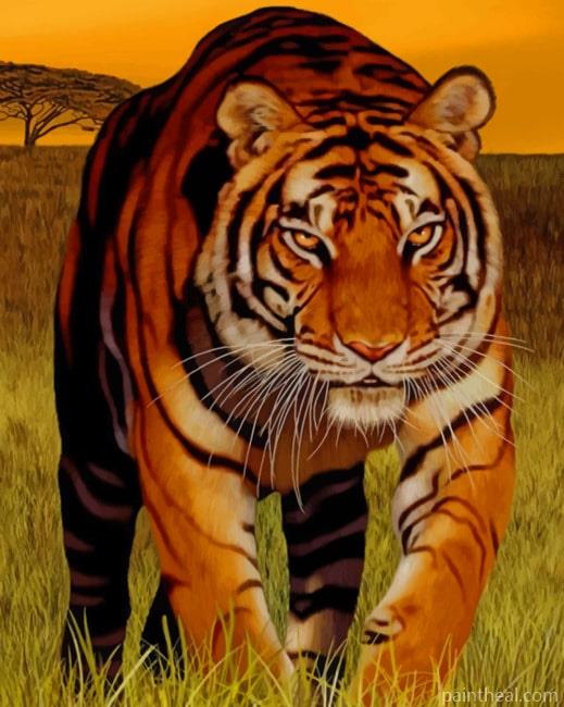 Tiger At The Sunset Painting By Numbers Kits