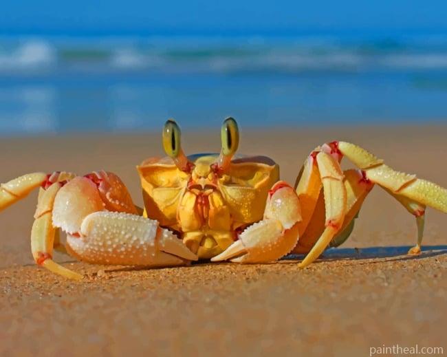 Crab In Beach Painting By Numbers Kits