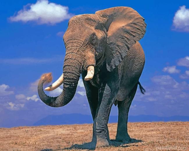 Elephant Animal Painting By Numbers Kits