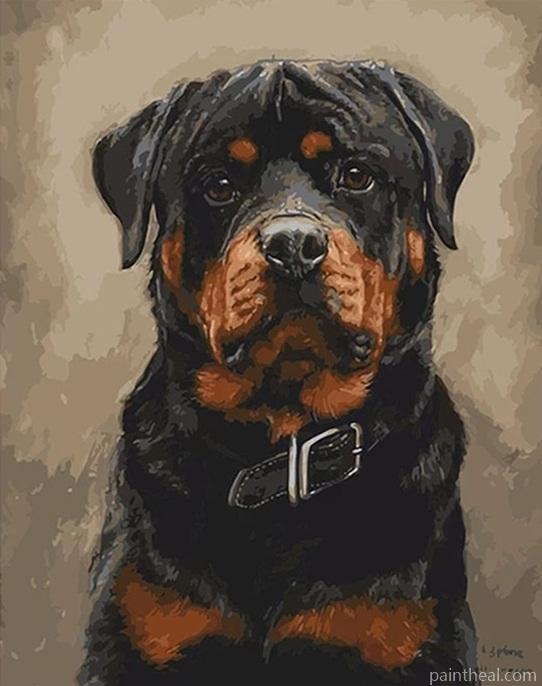 Boston Boxer Dog – 5D Diamond Painting Painting By Numbers Kits