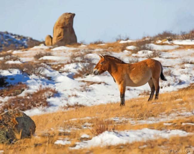 Wild Donkey In The Snow Painting By Numbers Kits