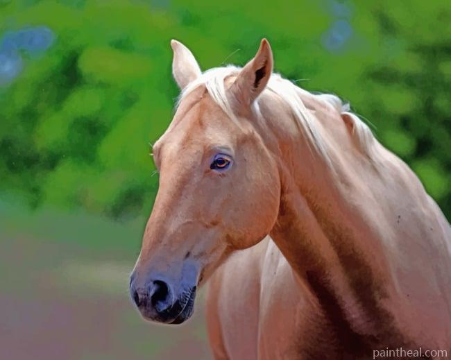 Brown Mare Horse Painting By Numbers Kits