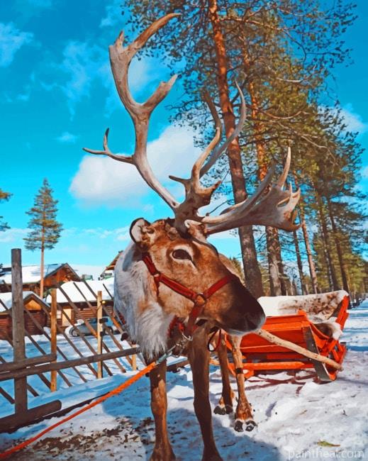 Reindeer In Finland Painting By Numbers Kits