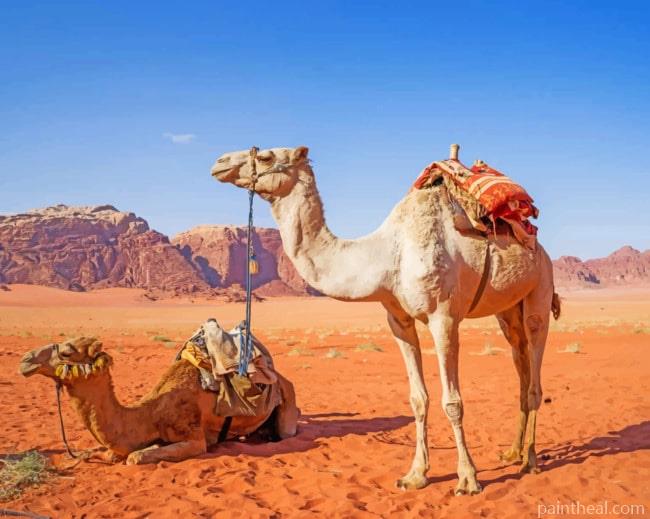 Camels In The Desert Painting By Numbers Kits