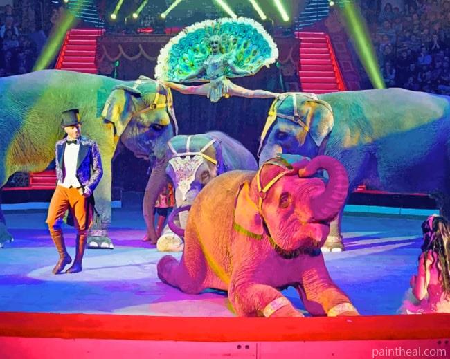 Circus Elephants Performing Painting By Numbers Kits