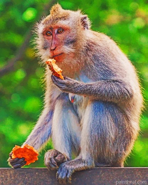 Monkey In The Forest Painting By Numbers Kits