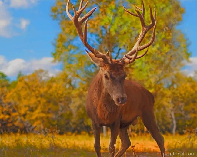 The Crown Prince Deer Painting By Numbers Kits
