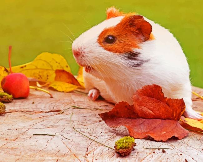 Autumn Guinea Pig Painting By Numbers Kits