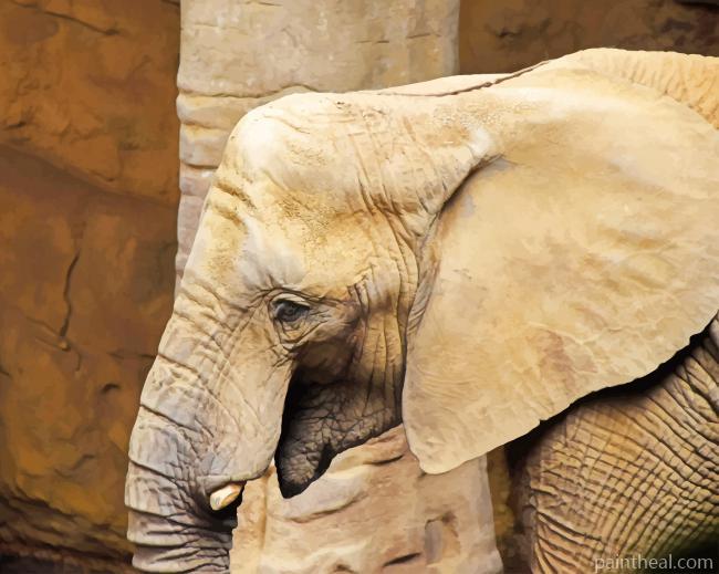 Little Elephant Painting By Numbers Kits