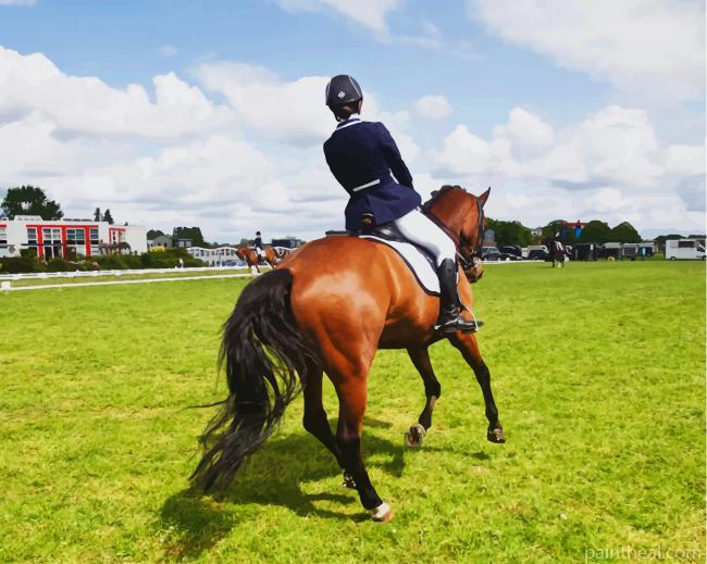 Polo Sport Painting By Numbers Kits
