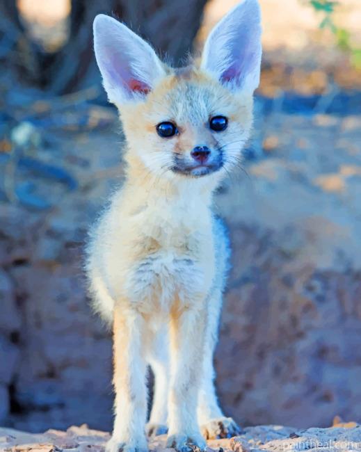 Cute Cape Fox Painting By Numbers Kits