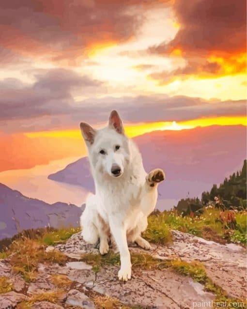 White Husky – 5D Diamond Painting Painting By Numbers Kits