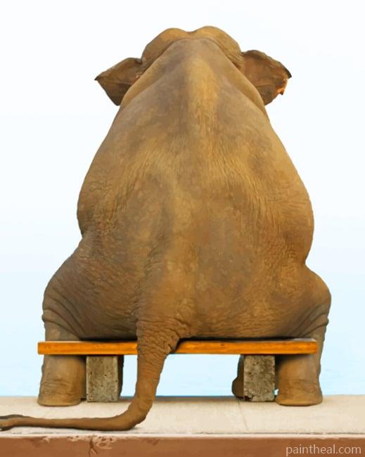 Elephant Sitting On Chair Painting By Numbers Kits