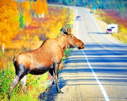 Big Moose On The Road Painting By Numbers Kits