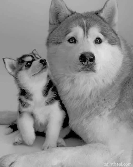 Husky And Puppy – 5D Diamond Painting Painting By Numbers Kits