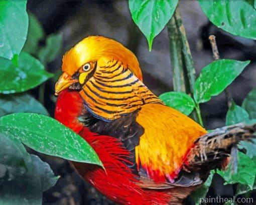 Golden Pheasant Painting By Numbers Kits