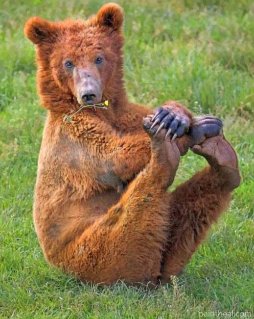 Bear With Legs Up Painting By Numbers Kits