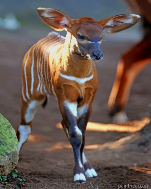Baby Okapi Painting By Numbers Kits