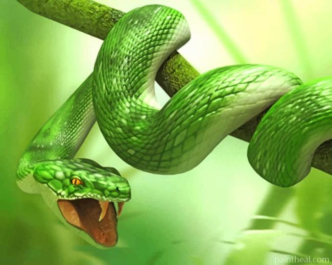 Green Snake Painting By Numbers Kits