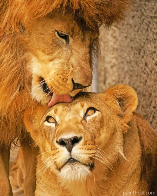Cute Lion And Cub Painting By Numbers Kits