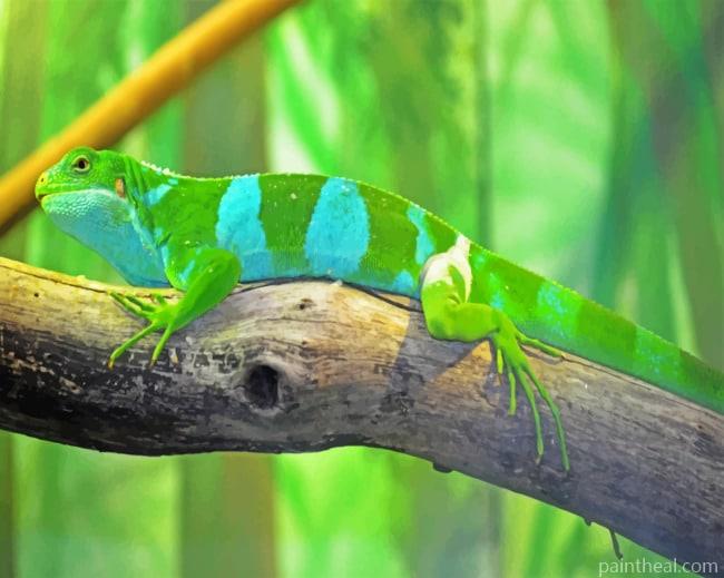 Fijian Banded Iguana Painting By Numbers Kits