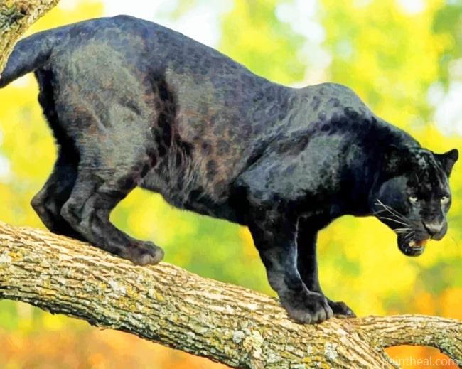 Black Panther Tiger Painting By Numbers Kits