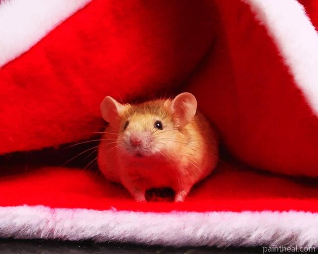 Hamster In Santa Claus Beanie Painting By Numbers Kits
