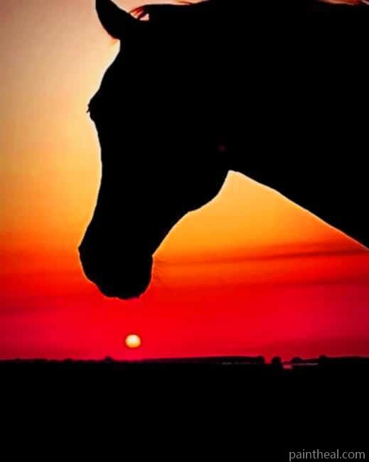 Horse Silhouette At Sunset Painting By Numbers Kits