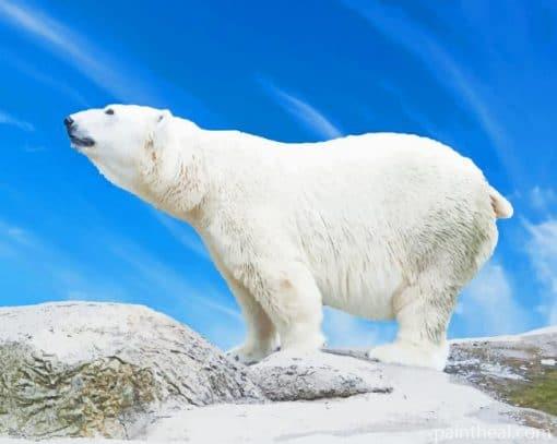 Big Polar Bear Painting By Numbers Kits