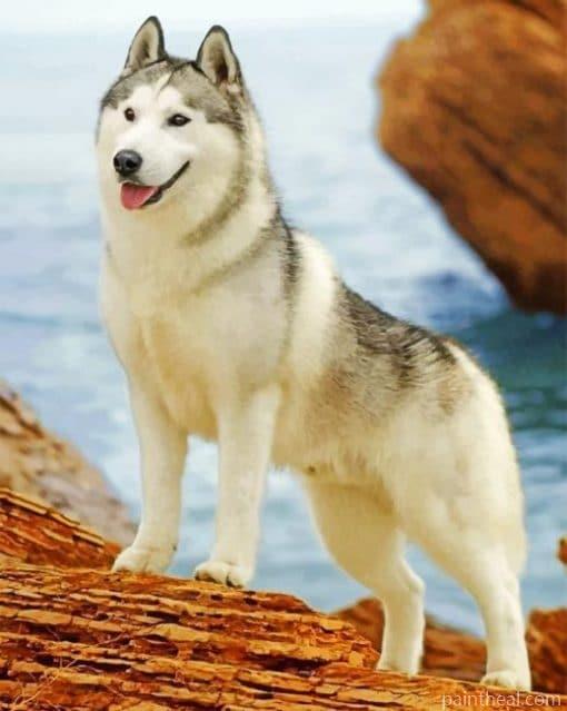 White Husky Standing – 5D Diamond Painting Painting By Numbers Kits
