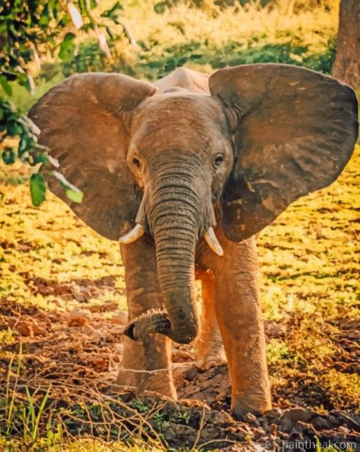Asian Elephant Painting By Numbers Kits