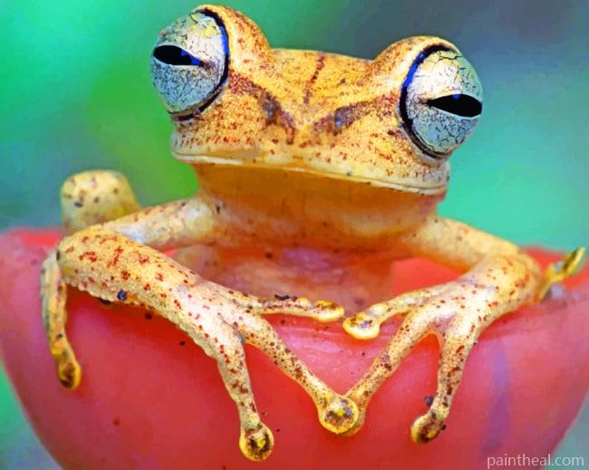 Brown Tree Frog Painting By Numbers Kits