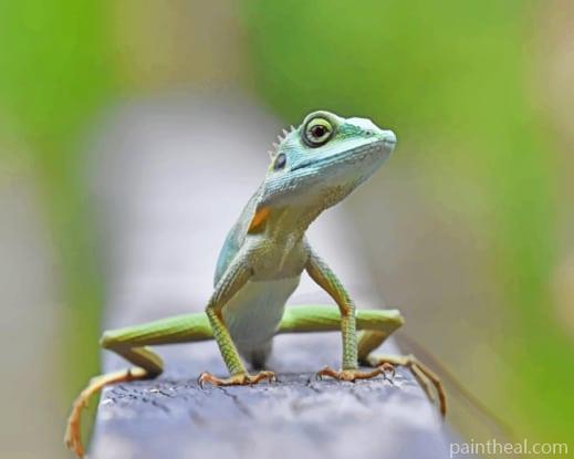 Mint Lizard Chameleon Painting By Numbers Kits