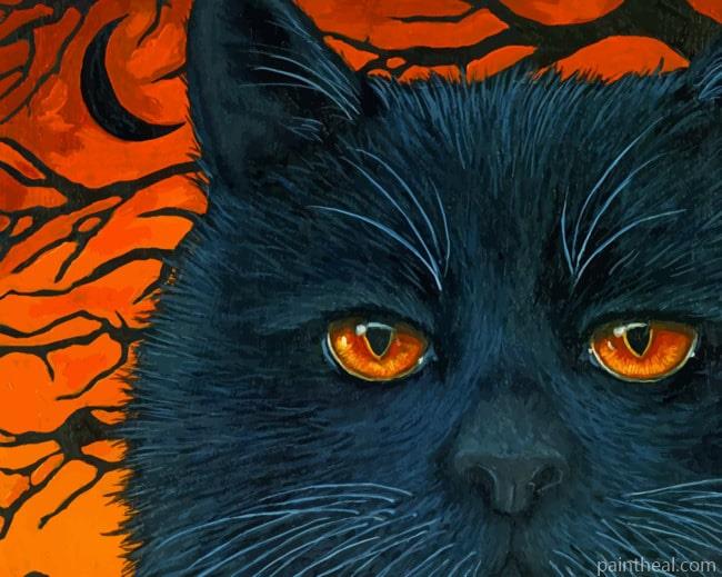 Black Cat Halloween Painting By Numbers Kits