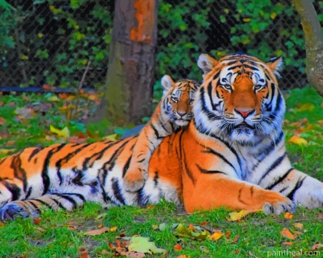 Big Tiger And His Cub Painting By Numbers Kits