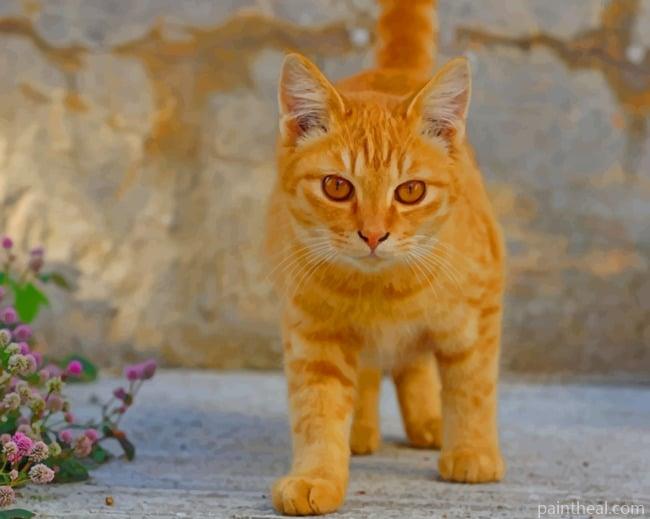 Walking Yellow Cat Painting By Numbers Kits