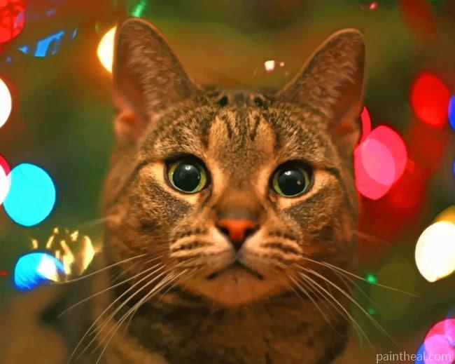 Grey Cat Close Up Painting By Numbers Kits