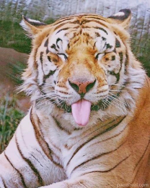 Funny Tiger Painting By Numbers Kits