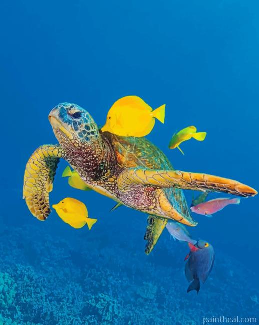 Sea Turtle And Fishes Painting By Numbers Kits
