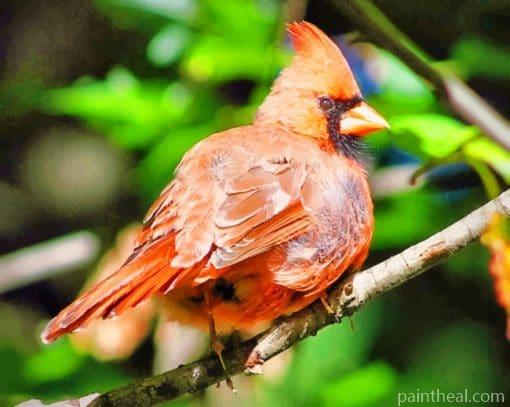 Cardinal Bird – 5D Diamond Painting Painting By Numbers Kits