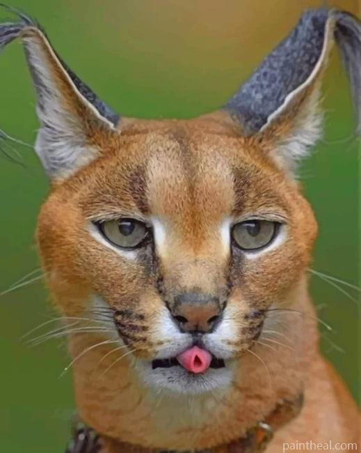 African Caracal Painting By Numbers Kits