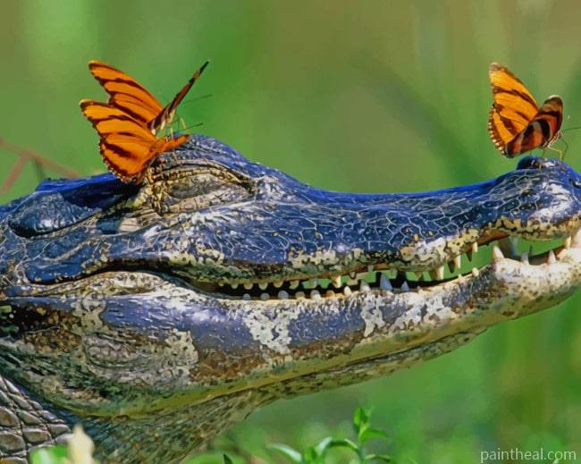 Alligator And Butterflies Painting By Numbers Kits