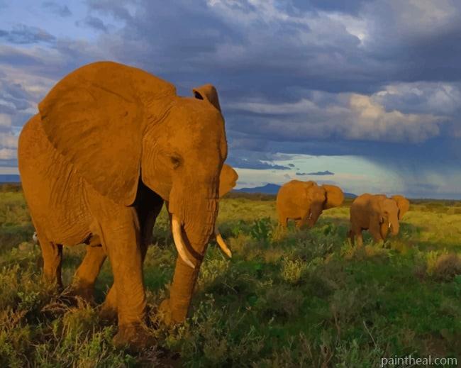 Wild Happy Elephants Painting By Numbers Kits