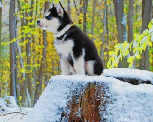 Lovely Husky – 5D Diamond Painting Painting By Numbers Kits