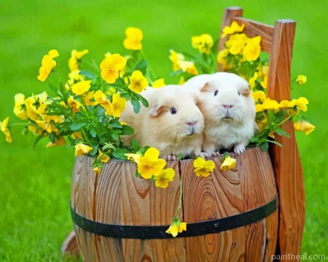 Barrel Guinea Pigs Painting By Numbers Kits