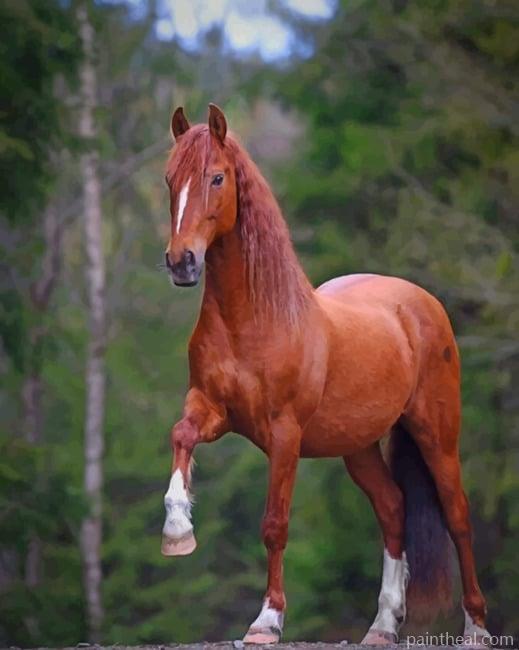 Majestic Brown Horse Painting By Numbers Kits