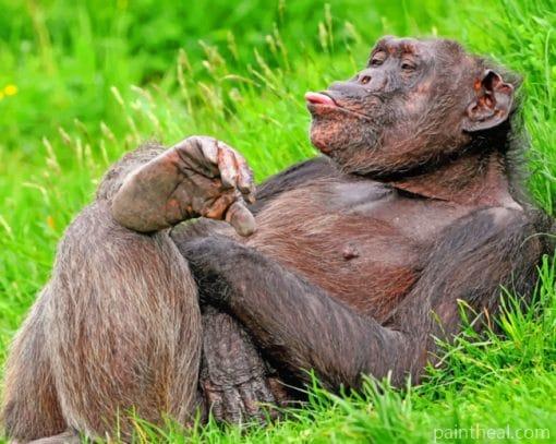 Funny Chimpanzee Monkey Painting By Numbers Kits